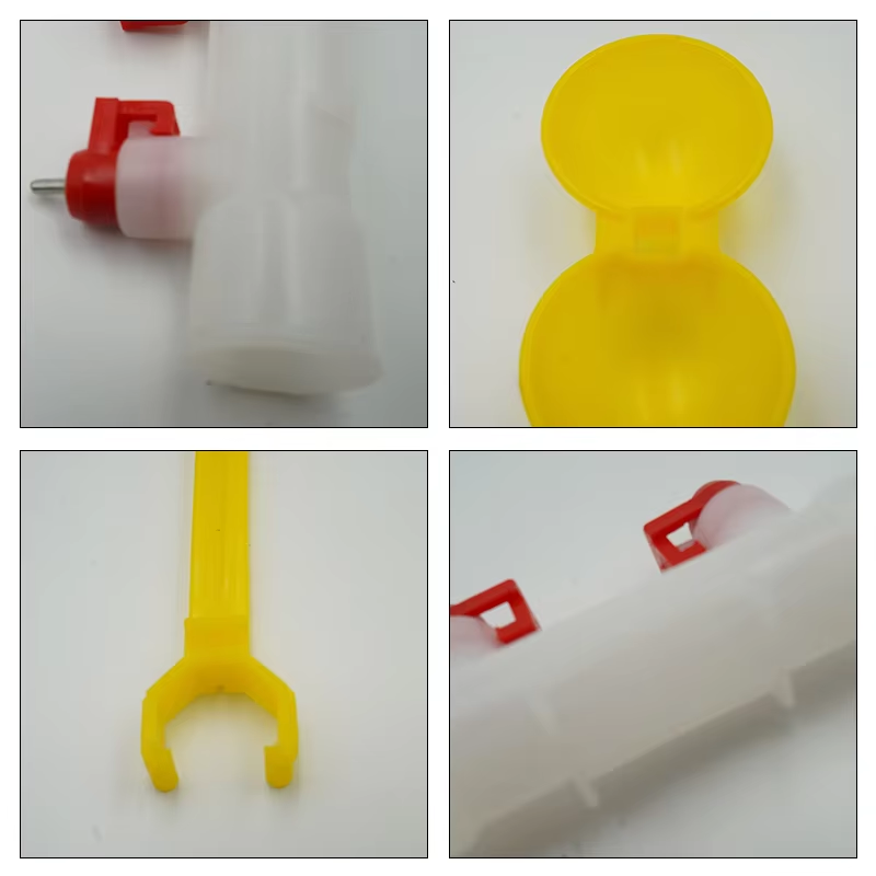 5/10/20Pcs Chicken Double Head - Zwitsal Baby Products のレビューと価格